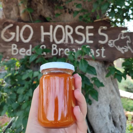 Gio Horses B&B San Nicandro Garganico Luaran gambar