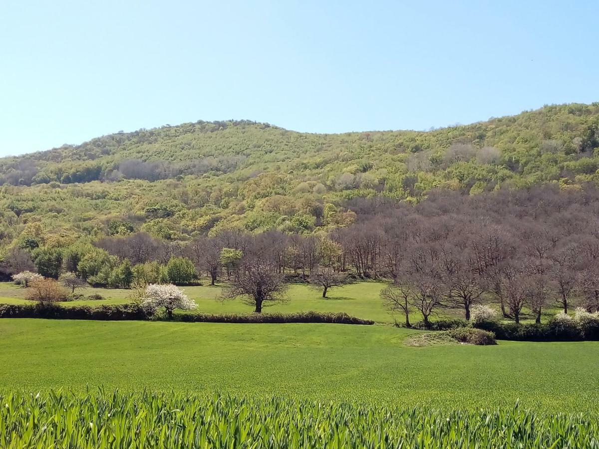Gio Horses B&B San Nicandro Garganico Luaran gambar