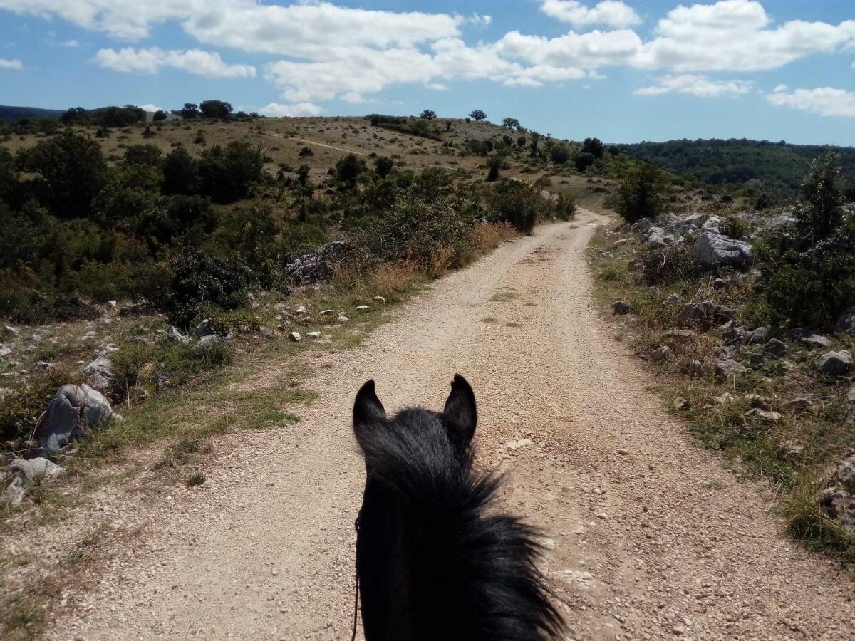 Gio Horses B&B San Nicandro Garganico Luaran gambar