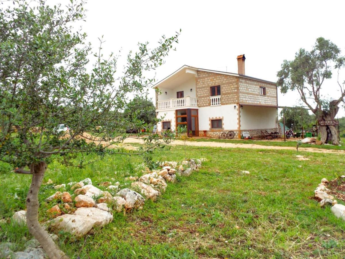 Gio Horses B&B San Nicandro Garganico Luaran gambar